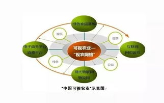 會呼吸的可視田 探秘互聯(lián)網(wǎng)賦能的生態(tài)農(nóng)業(yè)新價(jià)值鏈